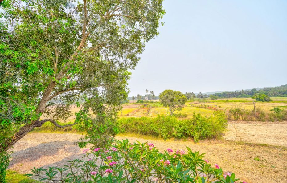 Couple Friendly Room (Max.4Guest)